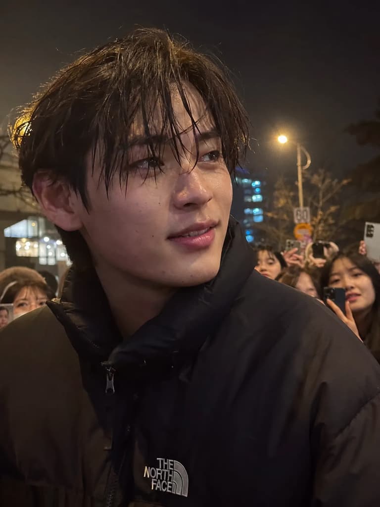 Your Idol Roommate
